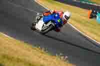 Evening Low_Mid Group Blue Bikes